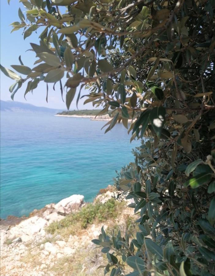 Apartments Vesna Pinezići Εξωτερικό φωτογραφία