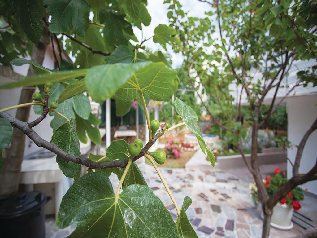 Apartments Vesna Pinezići Εξωτερικό φωτογραφία